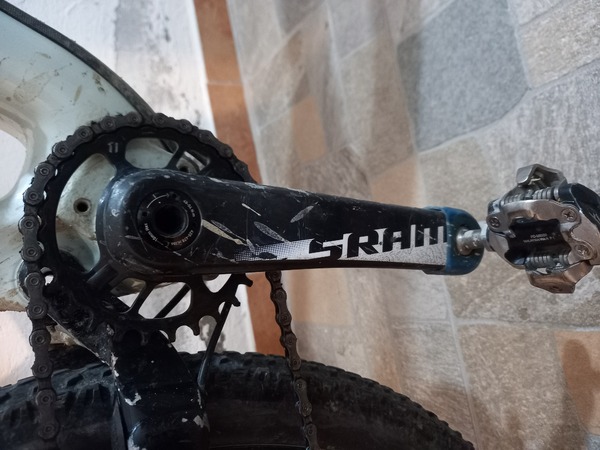 Specialized - camber