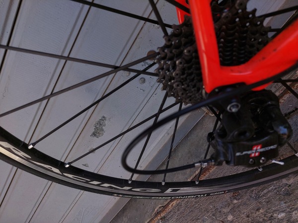Specialized - S-word sl3