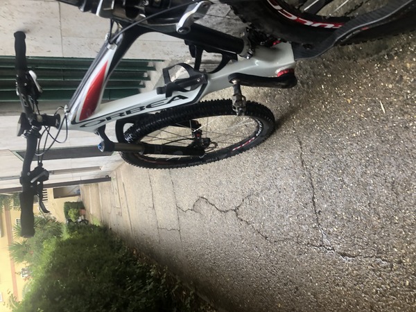 Orbea - OIZ
