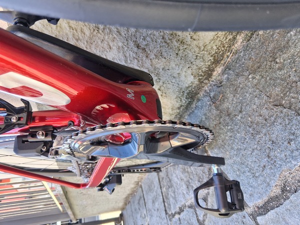 altra - Gusto Cobra 2025