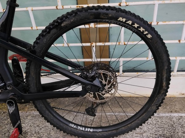 Canyon - Canyon strive cf 29 8.0