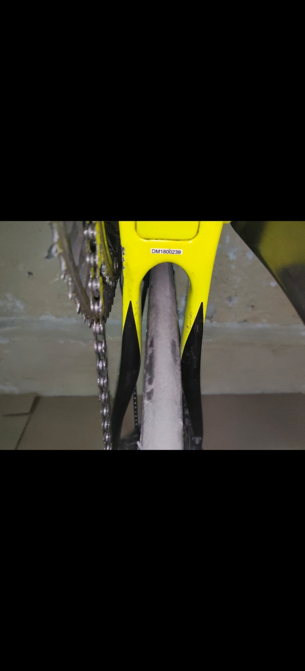 altra - MEGAMO  RAISE 