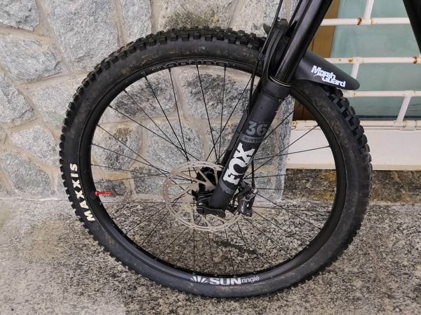 Canyon - Canyon strive cf 29 8.0