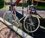 altra  VICINI Cesena City Bike 