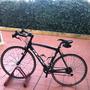 Olmo  
