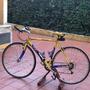 Olmo  