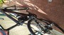 Bottecchia  